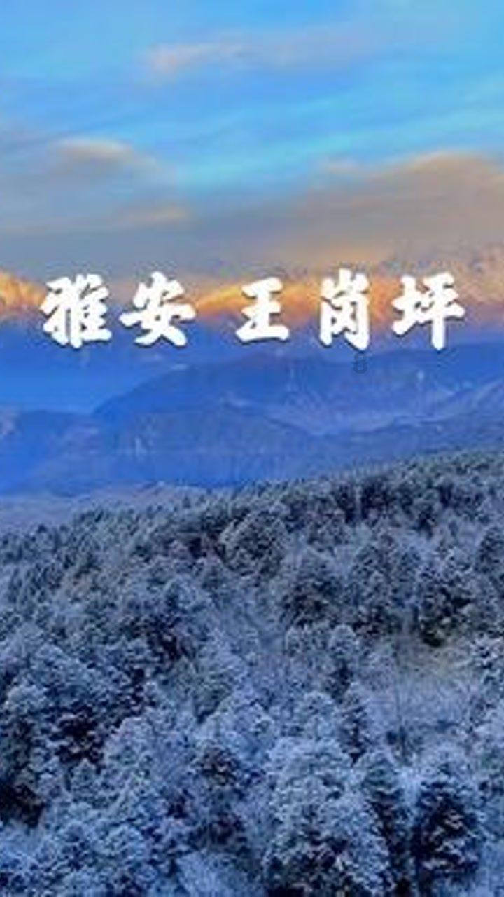 城邦争霸正式中文版