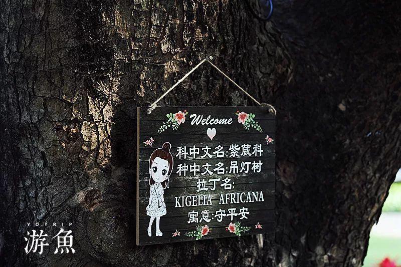 奥巴马卸任后,他的座驾为何要沉入海底?你不知道留着多危险?