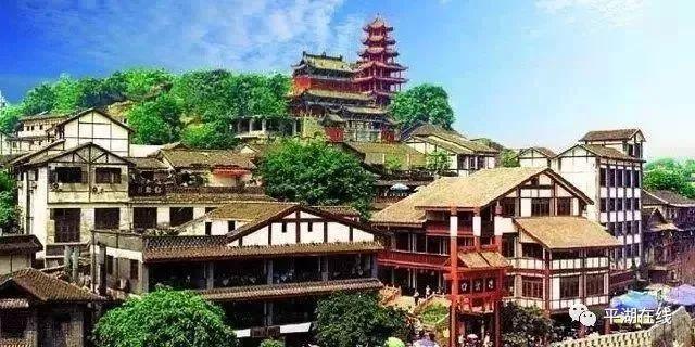 放飞笼中鸟